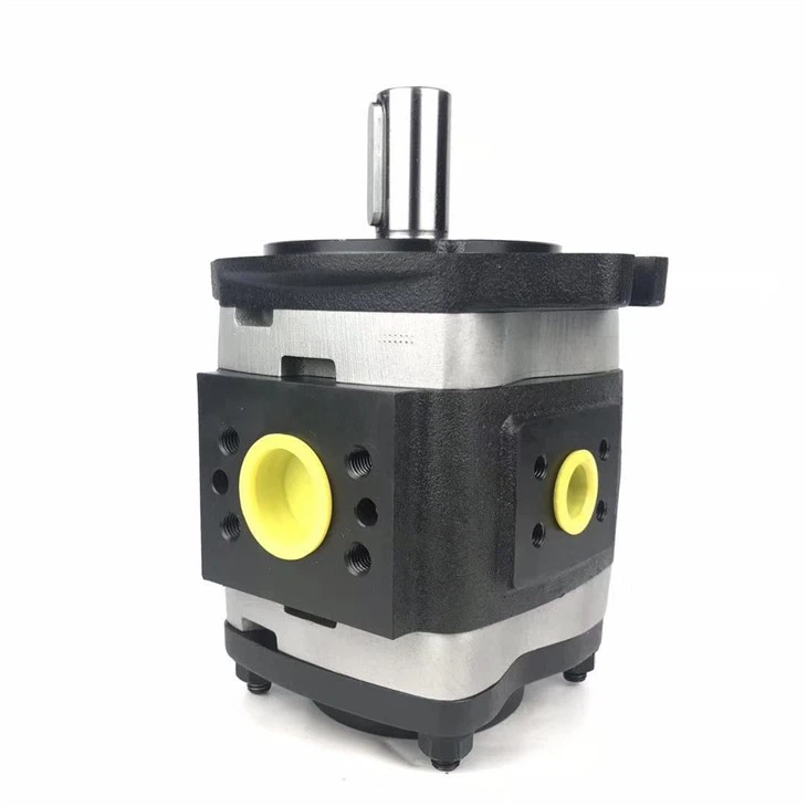 Germany IPV IPVAP Series Hydraulic Internal Gear Pump Oil Pump IPVP6-80